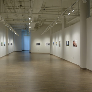 Art Gallery