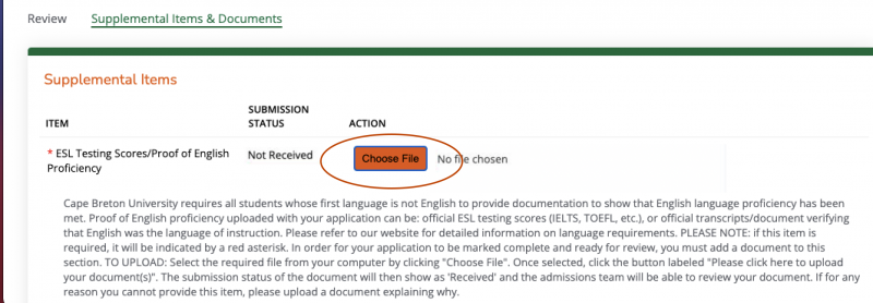 Action to choose file highlighted for supplemental items and documents