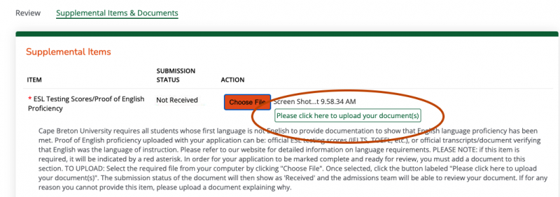 Click on the rounded area to upload the documents for supplemental items