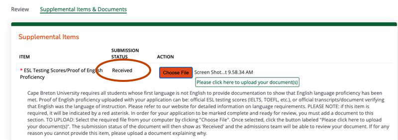 submissions status highlighted as received for supplemental items