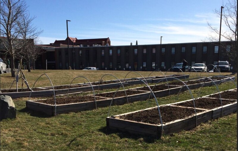 Community Garden